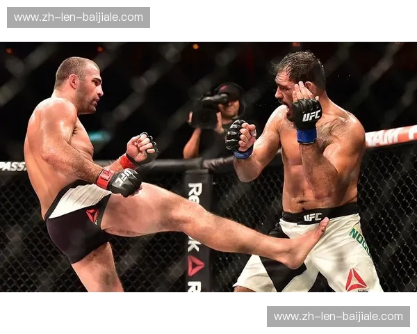 柔术之巅的宿命交响：当“牛头人”诺盖拉遇见“温盾”沃杜姆